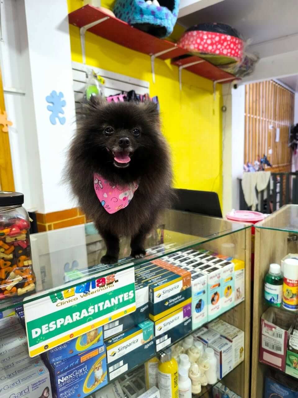 Huellas Pet Shop